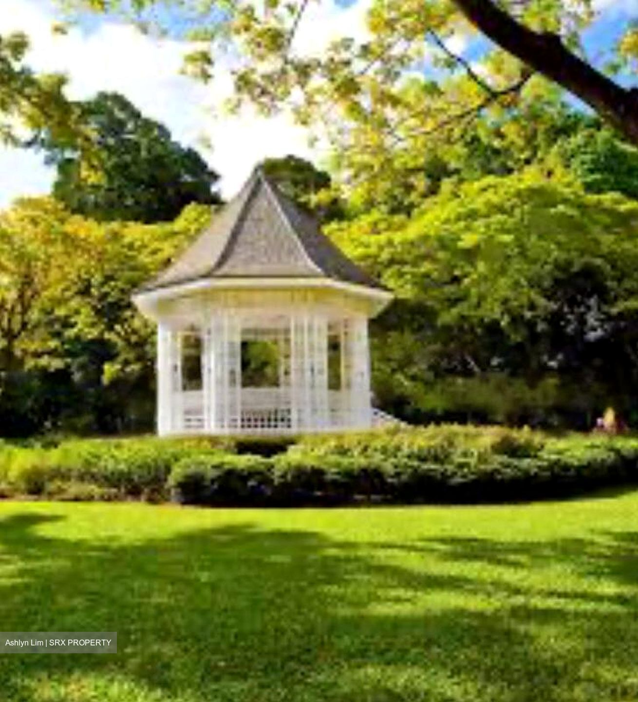 Tanglin Hill Villas (D10), Detached #455943651